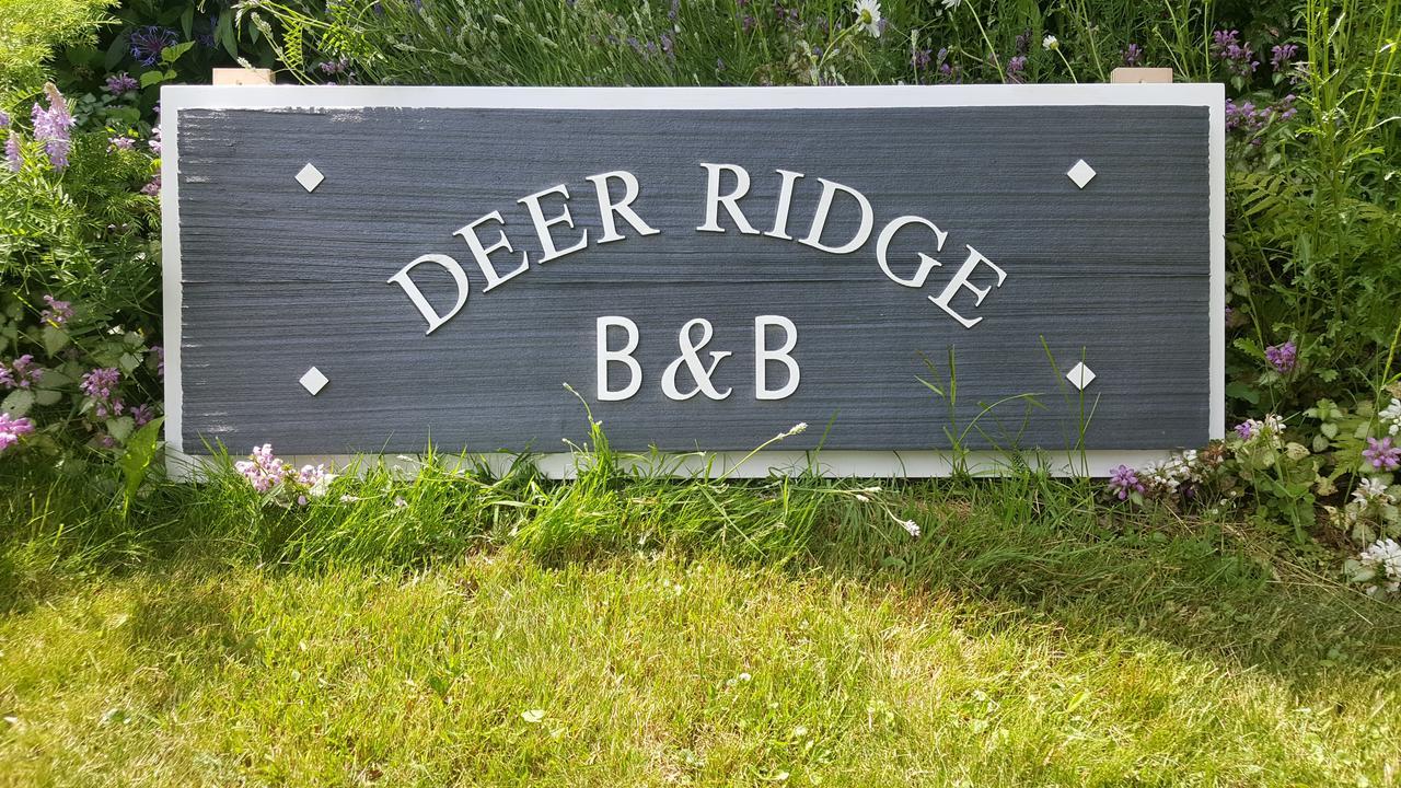 Deer Ridge B&B Golden Zewnętrze zdjęcie